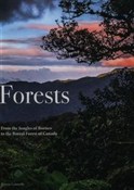 Forests - Kieron Connolly - Ksiegarnia w UK