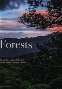 Obrazek Forests
