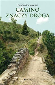 Obrazek Camino znaczy droga