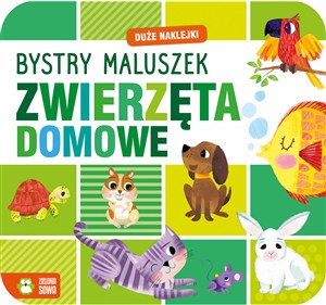 Picture of Bystry maluszek Zwierzęta domowe