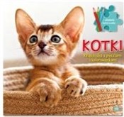 Kotki. Ksi... - Opracowanie Zbiorowe -  books from Poland