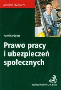 Obrazek Prawo pracy i ubezpieczeń społecznych