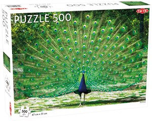 Obrazek Puzzle Piękny Paw Peacock 500