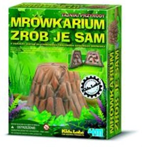 Obrazek Mrówkarium Zrób je sam