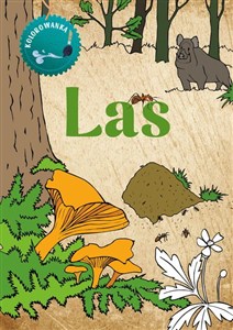 Obrazek Las. Kolorowanka