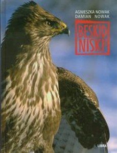 Obrazek Beskid Niski