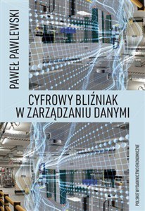 Obrazek Cyfrowy bliźniak w zarządzaniu danymi
