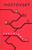 Zaginiony - Egon Hostovsky -  Książka z wysyłką do UK