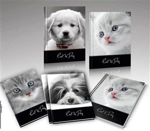 Picture of Zeszyt A5/32K kratka 1068 Cat&Dog (10szt)