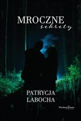 Mroczne se... - Patrycja Labocha -  foreign books in polish 