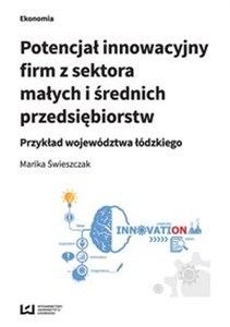 Obrazek Potencjał innowacyjny firm z sektora małych i średnich przedsiębiorstw Przykład województwa łódzkiego