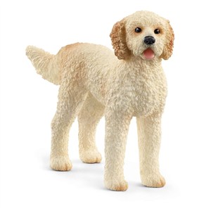 Picture of Goldendoodle SLH13939