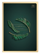 polish book : Zeszyt A4/...