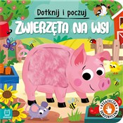polish book : Dotknij i ... - Grażyna Wasilewicz