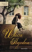 polish book : Ulica Pogo... - Aleksandra Domańska