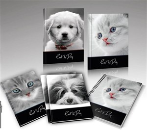 Obrazek Zeszyt A5/16K linia Cat&Dog (20szt)