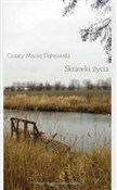 Skrawki ży... - Cezar Dąbrowski -  books in polish 