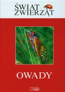 Obrazek Świat zwierząt Owady