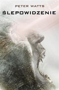 Obrazek Ślepowidzenie