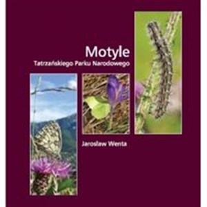 Obrazek Motyle Tatrzańskiego Parku Narodowego