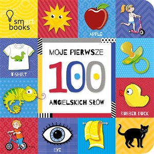 Picture of Moje pierwsze 100 angielskich słów