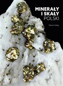 Obrazek Minerały i skały Polski