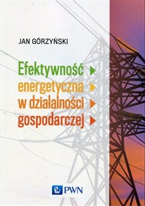 Obrazek Efektywność energetyczna w działalności gospodarczej
