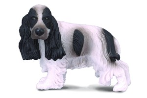 Obrazek Pies cocer spaniel angielski