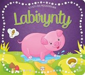 Picture of Książeczka przedszkolaka Labirynty