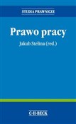 Prawo prac... - Artur Rycak, Magdalena Barbara Rycak, Monika Tomaszewska, Marcin Zieleniecki, Jakub Stelina -  Polish Bookstore 