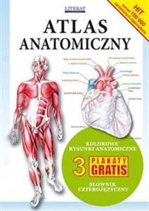 Obrazek Atlas anatomiczny