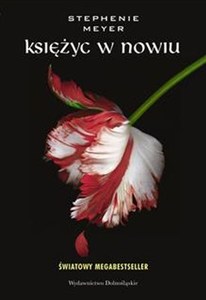 Obrazek Księżyc w nowiu