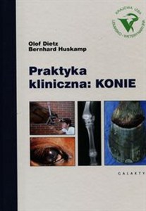 Picture of Praktyka kliniczna Konie
