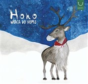 polish book : Hoho wraca... - Katarzyna Zych, Natan Grech