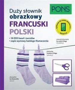 Obrazek Duży słownik obrazkowy Francuski