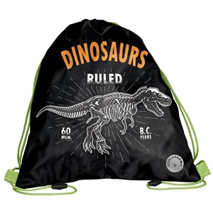 Picture of Worek na obuwie Dinosaur BR-712-4