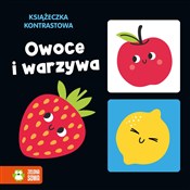 Książeczka... -  books from Poland