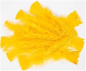 Polska książka : Piórka 10g...