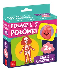 Picture of Połącz Połówki Ciało Człowieka