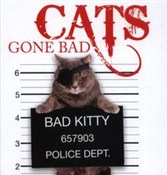 polish book : Cats Gone ... - Kat Scratching