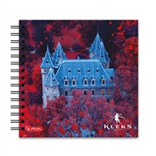 Pamiętnik ... -  Książka z wysyłką do UK