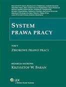 Zobacz : System pra... - Monika Tomaszewska, Zbigniew Góral, Jan Piątkowski, Gertruda Uścińska, M.Bolesław Ćwiertniak, Andrze