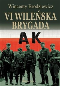Obrazek VI Wileńska Brygada AK