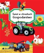 Świat w ob... - Emilie Beaumont, Marie-Renee Guilloret -  foreign books in polish 