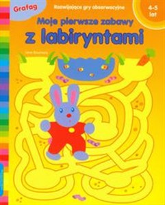 Obrazek Moje pierwsze zabawy z labiryntami Rozwijające gry obserwacyjne