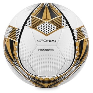 Picture of Piłka nożna Progress