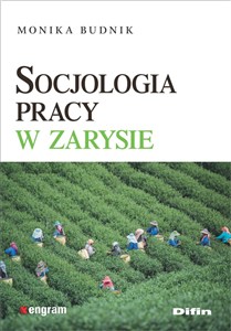 Obrazek Socjologia pracy w zarysie