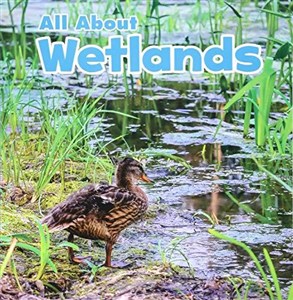 Obrazek All About Wetlands