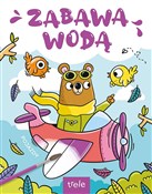 Pojazdy. Z... - Opracowanie zbiorowe -  books from Poland