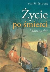 Picture of Życie po śmierci